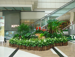 商場(chǎng)電梯周邊案例