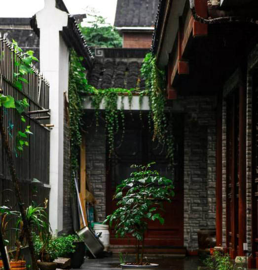 梅雨季節(jié)，養(yǎng)花怎么做？