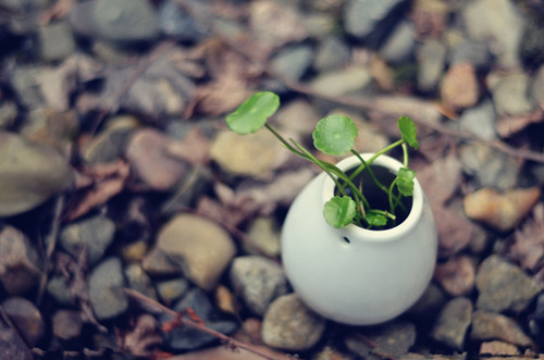 14920452281588.png 圖片14.png