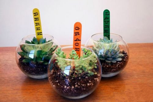 14926696491239.jpg 4_140612081245_1_副本.jpg